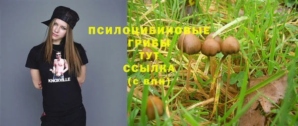 тгк Баксан