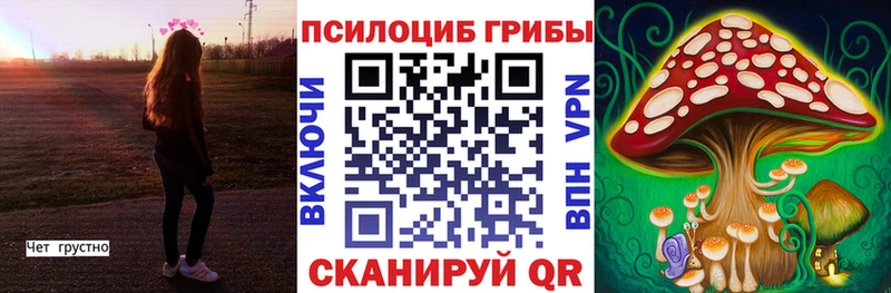 закладка  Борисоглебск  Галлюциногенные грибы мухоморы 